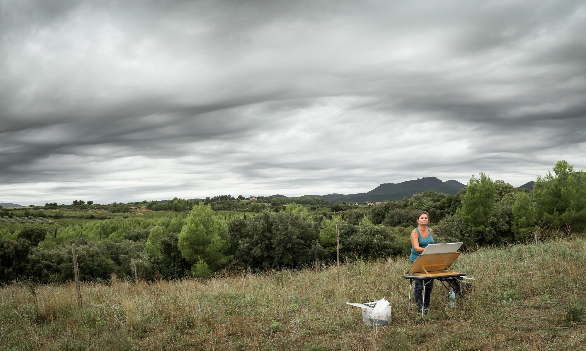 Heike Negenborn plainair vor Montpeyroux in grüner Landschaft mit grauem Himmel in extremen Querformat.